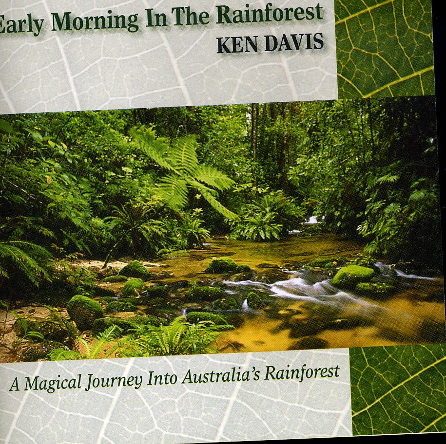 EARLY MORNING IN THE RAINFOREST