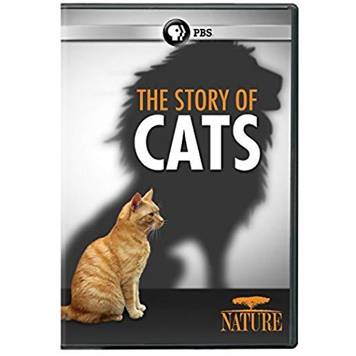 NATURE: THE STORY OF CATS