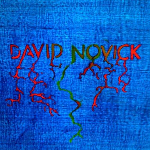 DAVID NOVICK