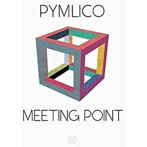 MEETING POINT (W/CD) (UK)