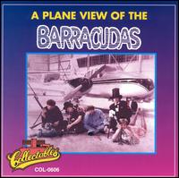PLANE VIEW OF THE BARRACUDAS
