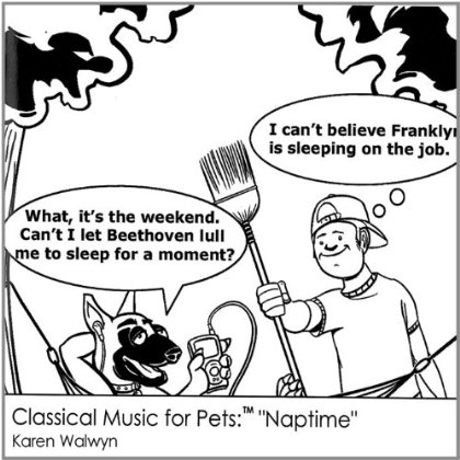 CLASSICAL MUSIC FOR PETS NAP TIME