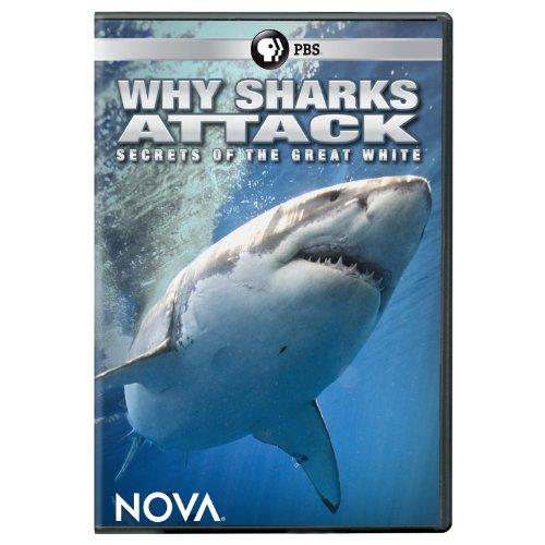 NOVA: WHY SHARKS ATTACK