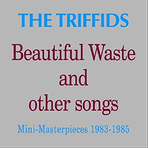 BEAUTIFUL WASTE & OTHER SONGS: MINI MASTERPIECES