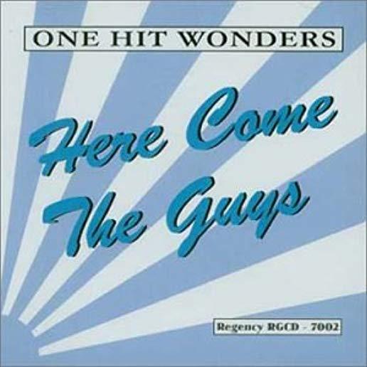 ONE HIT WONDERS-HERE COME THE GUYS / VARIOUS