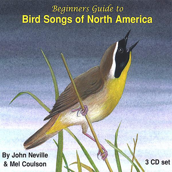 BEGINNERS GUIDE TO BIRD SONGS OF NORTH AMERICA