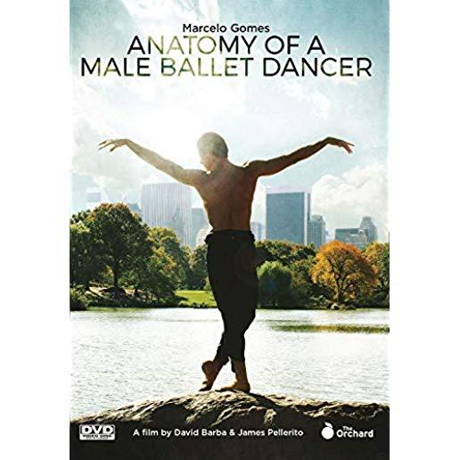 ANATOMY OF A MALE BALLET DANCER / (MOD NTSC)
