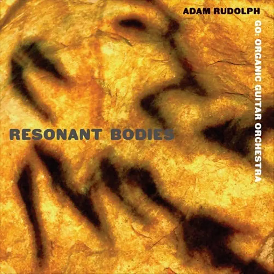 RESONANT BODIES