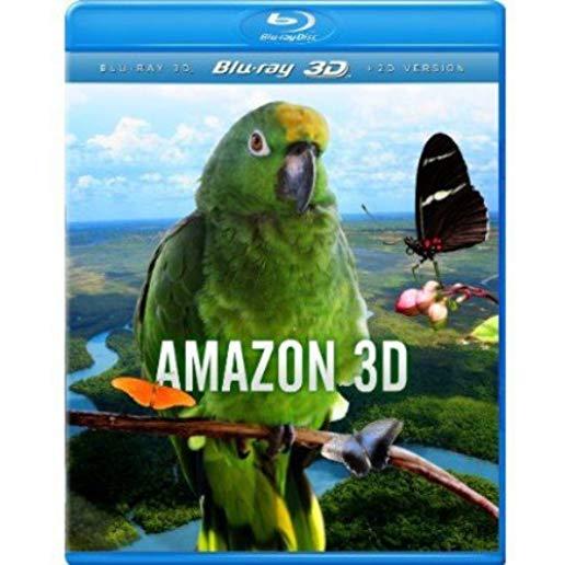 AMAZON 3D