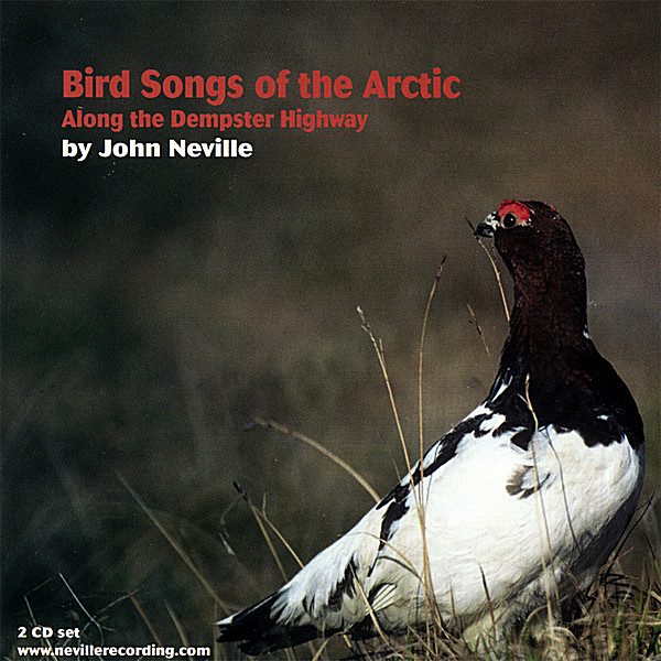 BIRD SONGS OF THE ARCTIC-ALONG THE DEMPSTER HIGHWA