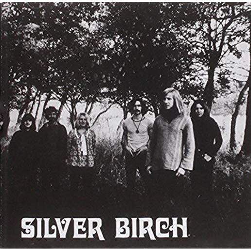 SILVER BIRCH