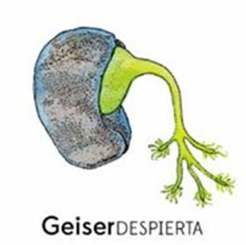 GEISER-DESPIERTA / VARIOUS (ARG)