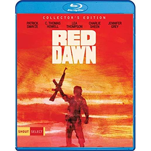 RED DAWN (COLLECTOR'S EDITION) / (COLL WS)
