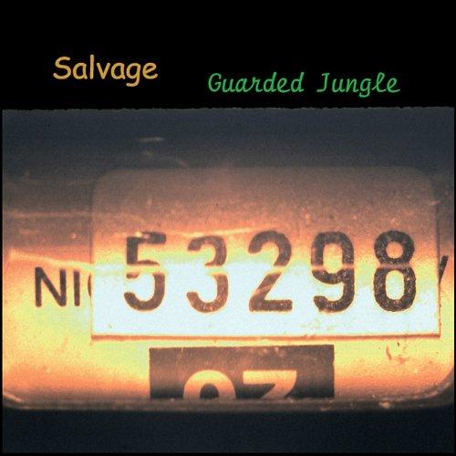 SALVAGE (CDR)