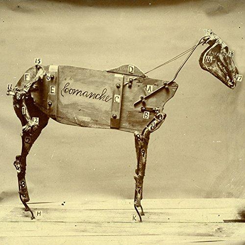 HORSE COMANCHE (CAN)
