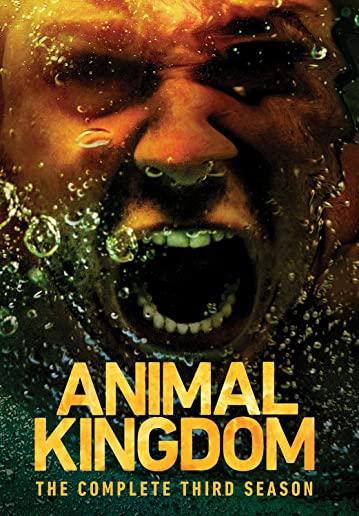ANIMAL KINGDOM: COMPLETE THIRD SEASON (3PC)