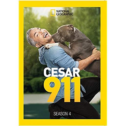 CESAR 911: SEASON 4 (3PC) / (MOD AC3 DOL WS NTSC)