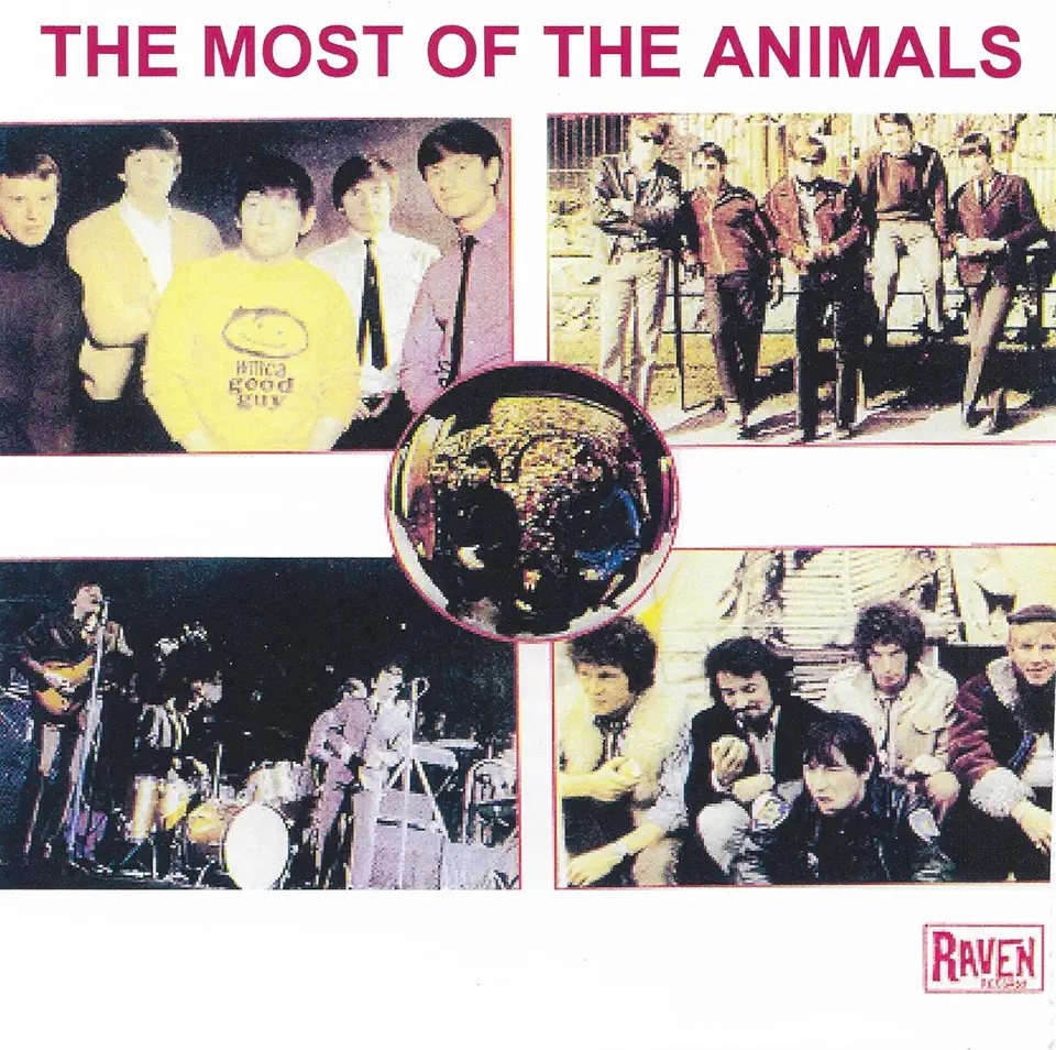 MOST OF THE ANIMALS