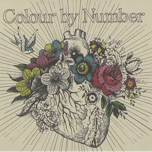 COLOR BY NUMBER: DELUXE EDITION (HK)