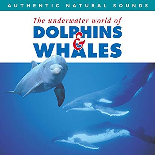 DOLPHINS & WHALES