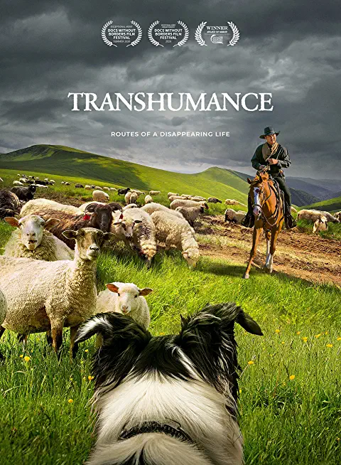 TRANSHUMANCE: ROUTES TO A DISAPPEARING LIFE