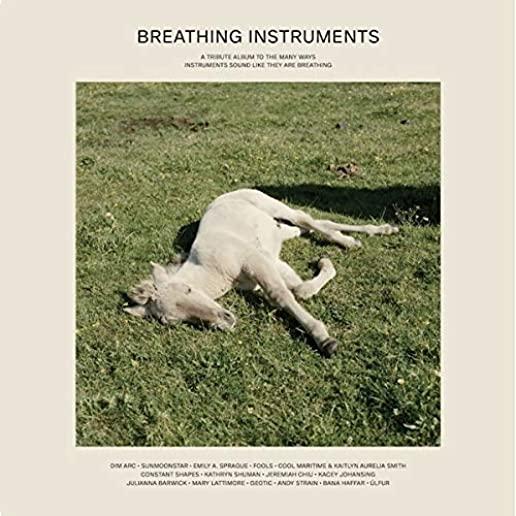 BREATHING INSTRUMENTS / VARIOUS (2PK)