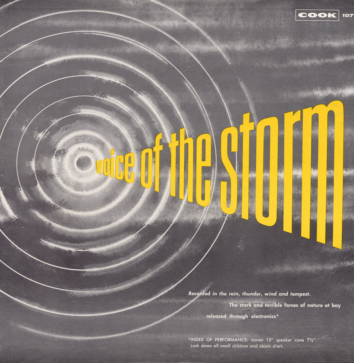 VOICE OF THE STORM / VARIOUS