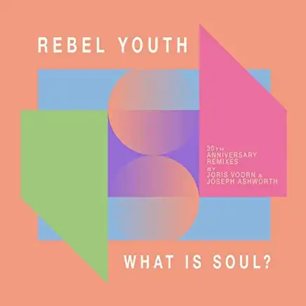 WHAT IS SOUL (30TH ANNIVERSARY REMIXES) (ANIV)