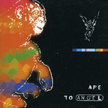 APE TO ANGEL (UK)