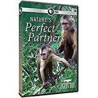 NATURE: NATURE'S PERFECT PARTNERS
