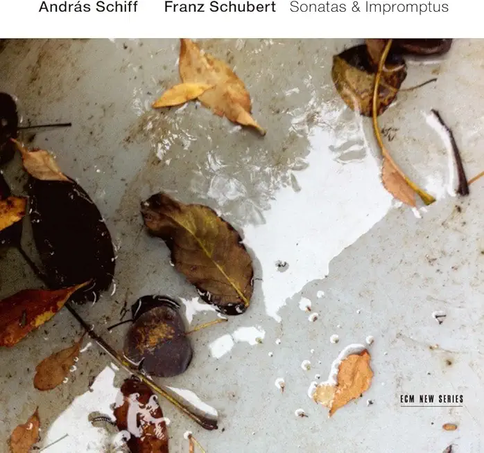 FRANZ SCHUBERT: SONATAS & IMPROMPTUS (SHM) (JPN)