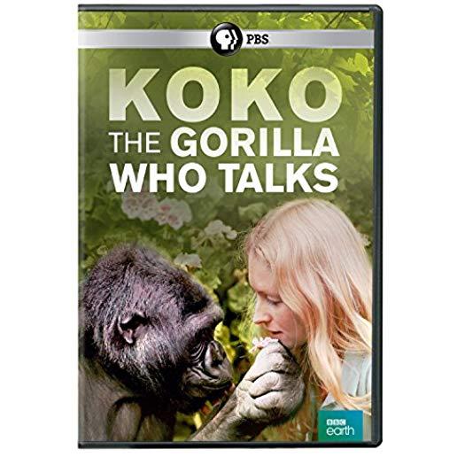 KOKO: THE GORILLA WHO TALKS
