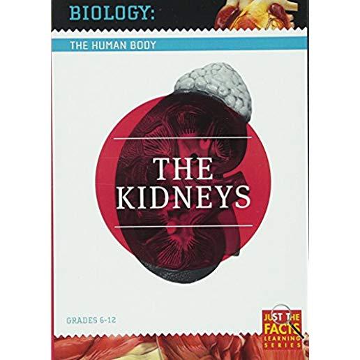 BIOLOGY OF THE HUMAN BODY: KIDNEYS