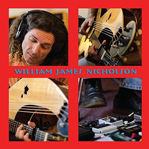 WILLIAM JAMES NICHOLSON