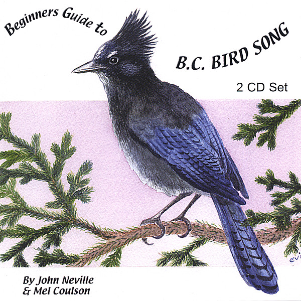BEGINNERS GUIDE TO B.C. BIRD SONG