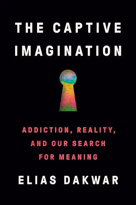 The Captive Imagination: Addiction, Reality, and Our Search for Meaning