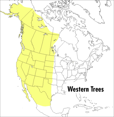 A Field Guide to Western Trees: Western United States and Canada