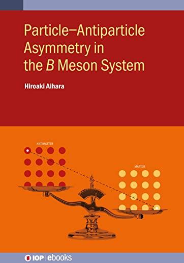 Particle-Antiparticle Asymmetry in the ���� Meson System