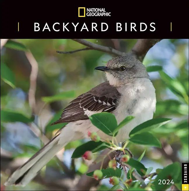National Geographic: Backyard Birds 2024 Wall Calendar