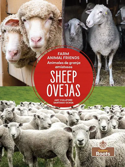 Ovejas (Sheep) Bilingual