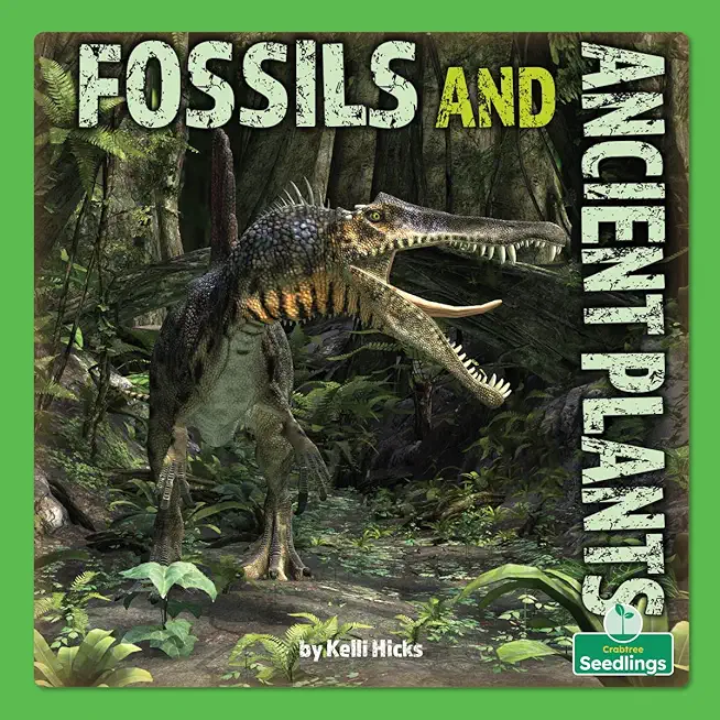 Fossils and Ancient Plants