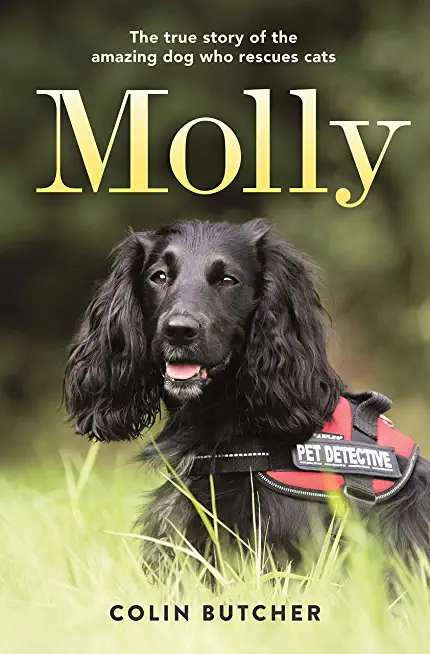 Molly: The True Story of the Dog Who Rescues Lost Cats