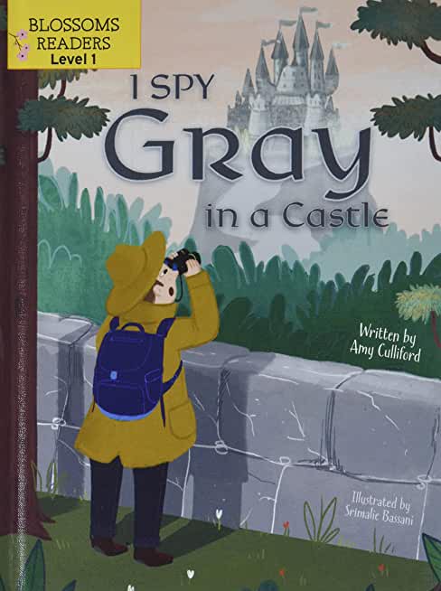 I Spy Gray in a Castle