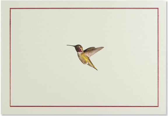Note Card Hummingbird Flight