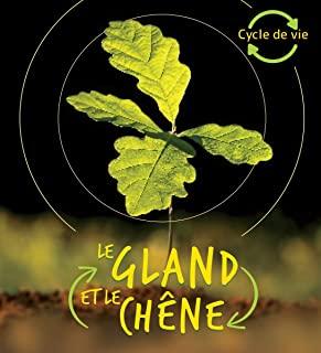 Cycle de Vie: Le Gland Et Le ChÃªne