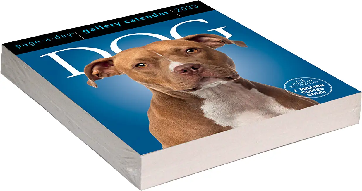 Dog Page-A-Day(r) Gallery Calendar Refill Pack 2023