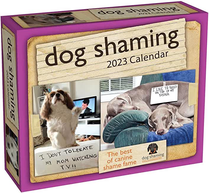 Dog Shaming 2023 Day-To-Day Calendar