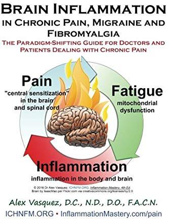 Brain Inflammation in Chronic Pain, Migraine and Fibromyalgia: The Paradigm-Shifting Guide for Doctors and Patients Dealing with Chronic Pain
