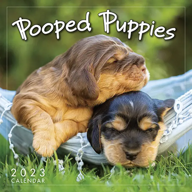 Pooped Puppies 2023 Mini