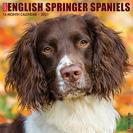 Just English Springer Spaniels 2021 Wall Calendar (Dog Breed Calendar)